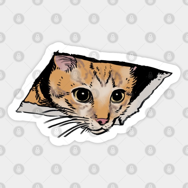 Mudwizard draws the ceiling cat meme / funny animal meme Sticker by mudwizard